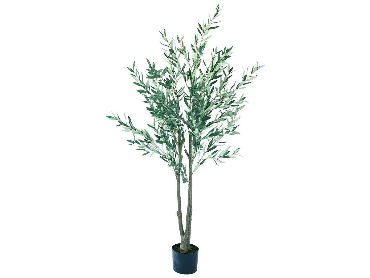 【ブラウン/BROWN / GOODS】のOlive Pot / オリーブ ポット 180 インテリア・キッズ・メンズ・レディースファッション・服の通販 founy(ファニー) 　送料無料　Free Shipping　おすすめ　Recommended / Our Picks　ホーム・キャンプ・アウトドア・お取り寄せ　Home Living / Home & Lifestyle / Camping Gear / Outdoor Camping　家具・インテリア　Home Furniture & Interior. Stylish & Functional Living Spaces　その他 インテリア雑貨、家具　Home Decor & Furniture Extras　-|ID: prp329100004948060 ipo3291000000037131817