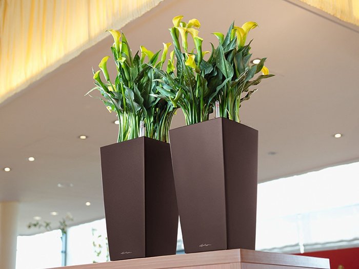 【レチューザ/Lechuza / GOODS】のCubico22 / キュービコ22 底面灌水セット付 インテリア・キッズ・メンズ・レディースファッション・服の通販 founy(ファニー) https://founy.com/ シンプル Simple, Minimal モダン Modern, Contemporary ライナー Liner, Inner Layer 送料無料 Free Shipping おすすめ Recommended / Our Picks ホーム・キャンプ・アウトドア・お取り寄せ Home Living / Home & Lifestyle / Camping Gear / Outdoor Camping 家具・インテリア Home Furniture & Interior. Stylish & Functional Living Spaces その他 インテリア雑貨、家具 Home Decor & Furniture Extras |ID: prp329100004948066 ipo3291000000037131881