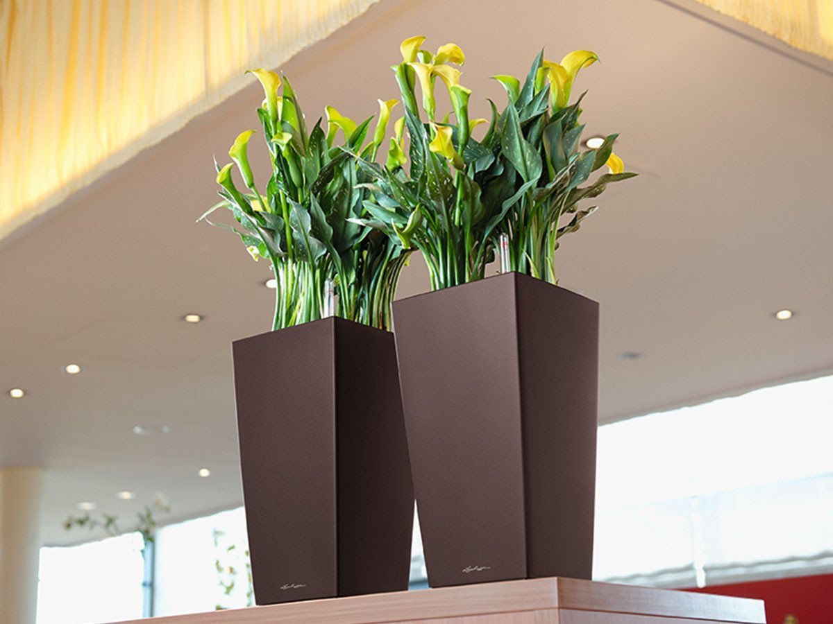 【レチューザ/Lechuza / GOODS】のCubico22 / キュービコ22 底面灌水セット付 インテリア・キッズ・メンズ・レディースファッション・服の通販 founy(ファニー) 　シンプル　Simple, Minimal　モダン　Modern, Contemporary　ライナー　Liner, Inner Layer　送料無料　Free Shipping　おすすめ　Recommended / Our Picks　ホーム・キャンプ・アウトドア・お取り寄せ　Home Living / Home & Lifestyle / Camping Gear / Outdoor Camping　家具・インテリア　Home Furniture & Interior. Stylish & Functional Living Spaces　その他 インテリア雑貨、家具　Home Decor & Furniture Extras　エスプレッソ(マットカラー)|ID: prp329100004948066 ipo3291000000037131882