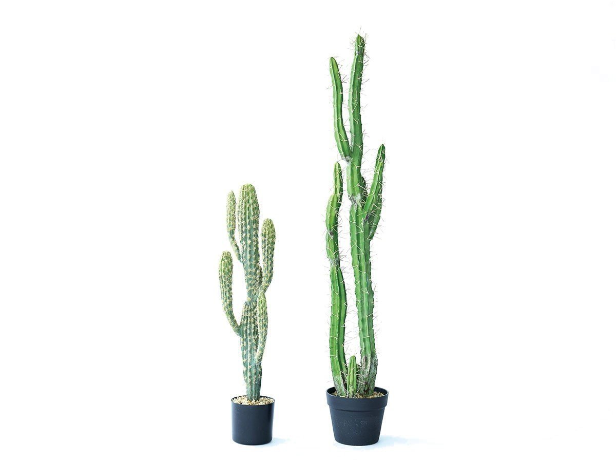 【ブラウン/BROWN / GOODS】のColumn Cactus Pot / 柱サボテン ポット 71 インテリア・キッズ・メンズ・レディースファッション・服の通販 founy(ファニー) 　おすすめ　Recommended / Our Picks　ホーム・キャンプ・アウトドア・お取り寄せ　Home Living / Home & Lifestyle / Camping Gear / Outdoor Camping　家具・インテリア　Home Furniture & Interior. Stylish & Functional Living Spaces　その他 インテリア雑貨、家具　Home Decor & Furniture Extras　左:本商品、右:柱サボテン ポット 118|ID: prp329100004948077 ipo3291000000037131952