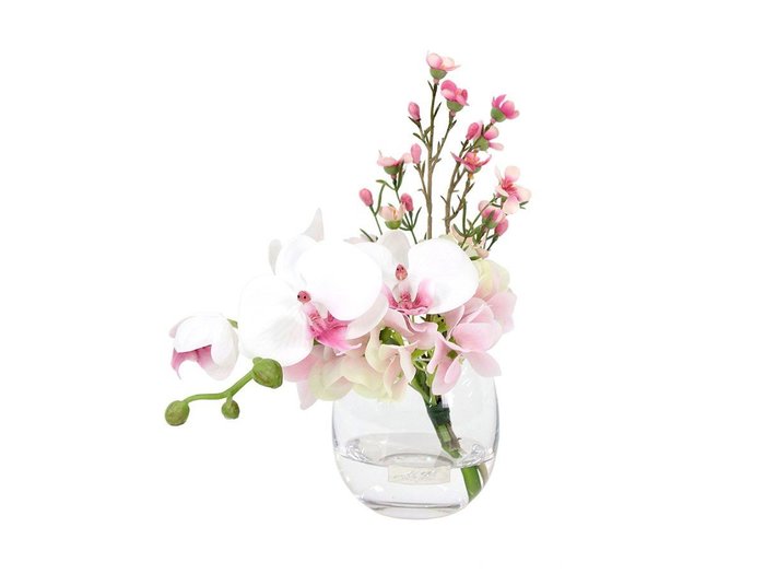 【エミリオロバ/EMILIO ROBBA】のPHALAENOPSIS / ファレノプシス S リップピンク インテリア・キッズ・メンズ・レディースファッション・服の通販 founy(ファニー) https://founy.com/ 送料無料 Free Shipping エレガント 上品 Elegant コレクション Collection, Seasonal Line シリコン Silicone, Silicone Material リアル Real, Realistic リップ Lip, Lip Motif ホーム・キャンプ・アウトドア・お取り寄せ Home Living / Home & Lifestyle / Camping Gear / Outdoor Camping 家具・インテリア Home Furniture & Interior. Stylish & Functional Living Spaces その他 インテリア雑貨、家具 Home Decor & Furniture Extras |ID: prp329100004948082 ipo3291000000037131972