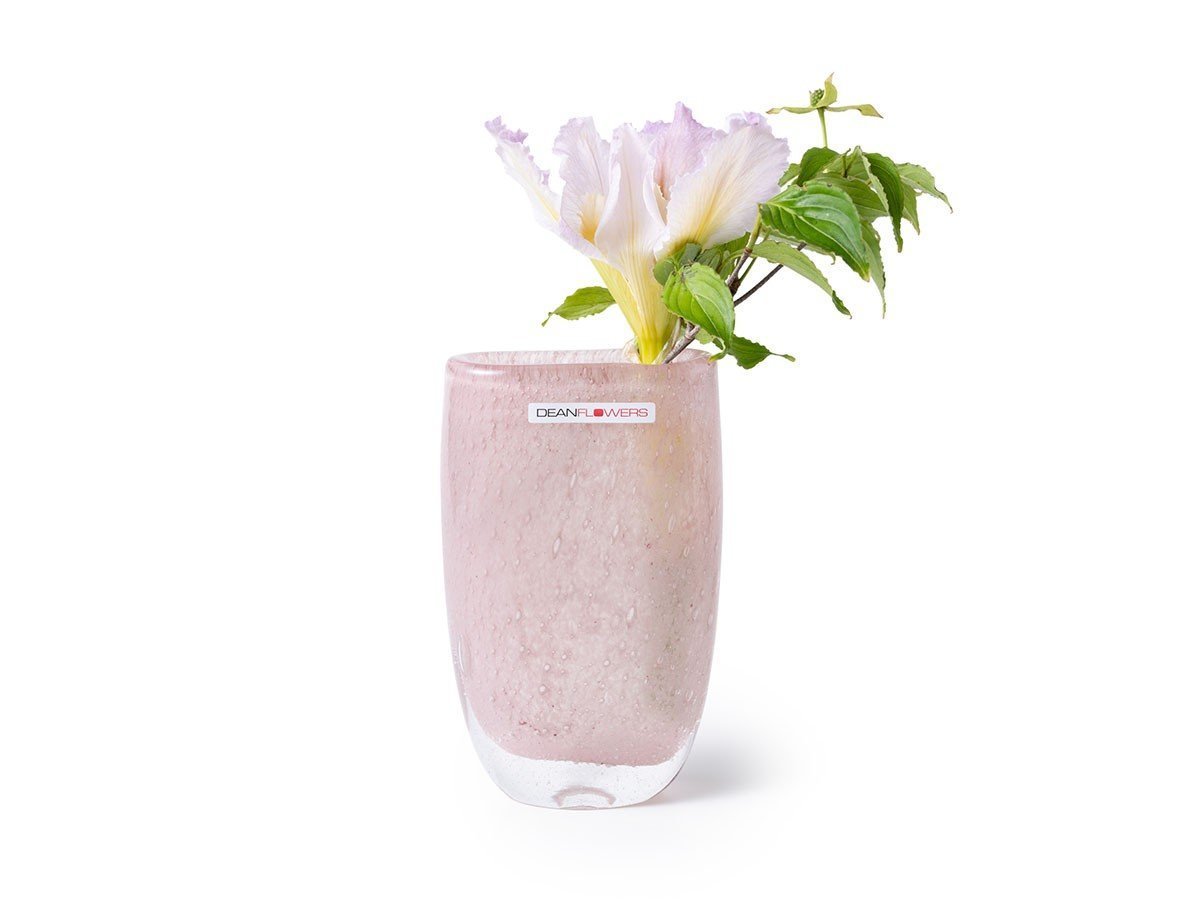 【ヘンリーディーン/Henry Dean / GOODS】のV.Julien XS / V.ジュリアン XS(スタンダードカラー) インテリア・キッズ・メンズ・レディースファッション・服の通販 founy(ファニー) 　ガラス　Glass, Glassware　コンパクト　Compact, Small Size　スタンダード　Standard, Basic　ハンド　Hand, Handmade　フラワー　Flower, Floral　ランダム　Random, Irregular　ホーム・キャンプ・アウトドア・お取り寄せ　Home Living / Home & Lifestyle / Camping Gear / Outdoor Camping　家具・インテリア　Home Furniture & Interior. Stylish & Functional Living Spaces　その他 インテリア雑貨、家具　Home Decor & Furniture Extras　ブロッサム|ID: prp329100004948088 ipo3291000000037132002