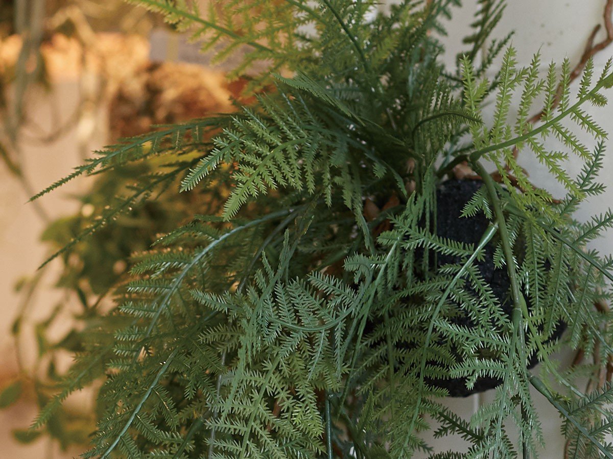 【ブラウン/BROWN / GOODS】のFern Hanging Ball / ファーン ハンギングボール 65 インテリア・キッズ・メンズ・レディースファッション・服の通販 founy(ファニー) 　送料無料　Free Shipping　おすすめ　Recommended / Our Picks　リラックス　Relax, Relaxed Fit　ホーム・キャンプ・アウトドア・お取り寄せ　Home Living / Home & Lifestyle / Camping Gear / Outdoor Camping　家具・インテリア　Home Furniture & Interior. Stylish & Functional Living Spaces　その他 インテリア雑貨、家具　Home Decor & Furniture Extras　参考イメージ|ID: prp329100004948099 ipo3291000000037132054