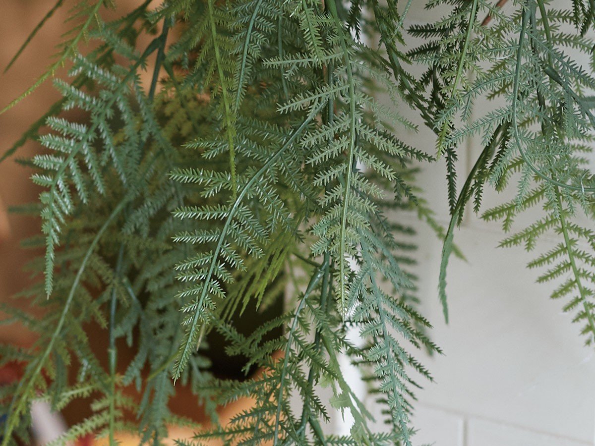 【ブラウン/BROWN / GOODS】のFern Hanging Ball / ファーン ハンギングボール 65 インテリア・キッズ・メンズ・レディースファッション・服の通販 founy(ファニー) 　送料無料　Free Shipping　おすすめ　Recommended / Our Picks　リラックス　Relax, Relaxed Fit　ホーム・キャンプ・アウトドア・お取り寄せ　Home Living / Home & Lifestyle / Camping Gear / Outdoor Camping　家具・インテリア　Home Furniture & Interior. Stylish & Functional Living Spaces　その他 インテリア雑貨、家具　Home Decor & Furniture Extras　参考イメージ|ID: prp329100004948099 ipo3291000000037132055