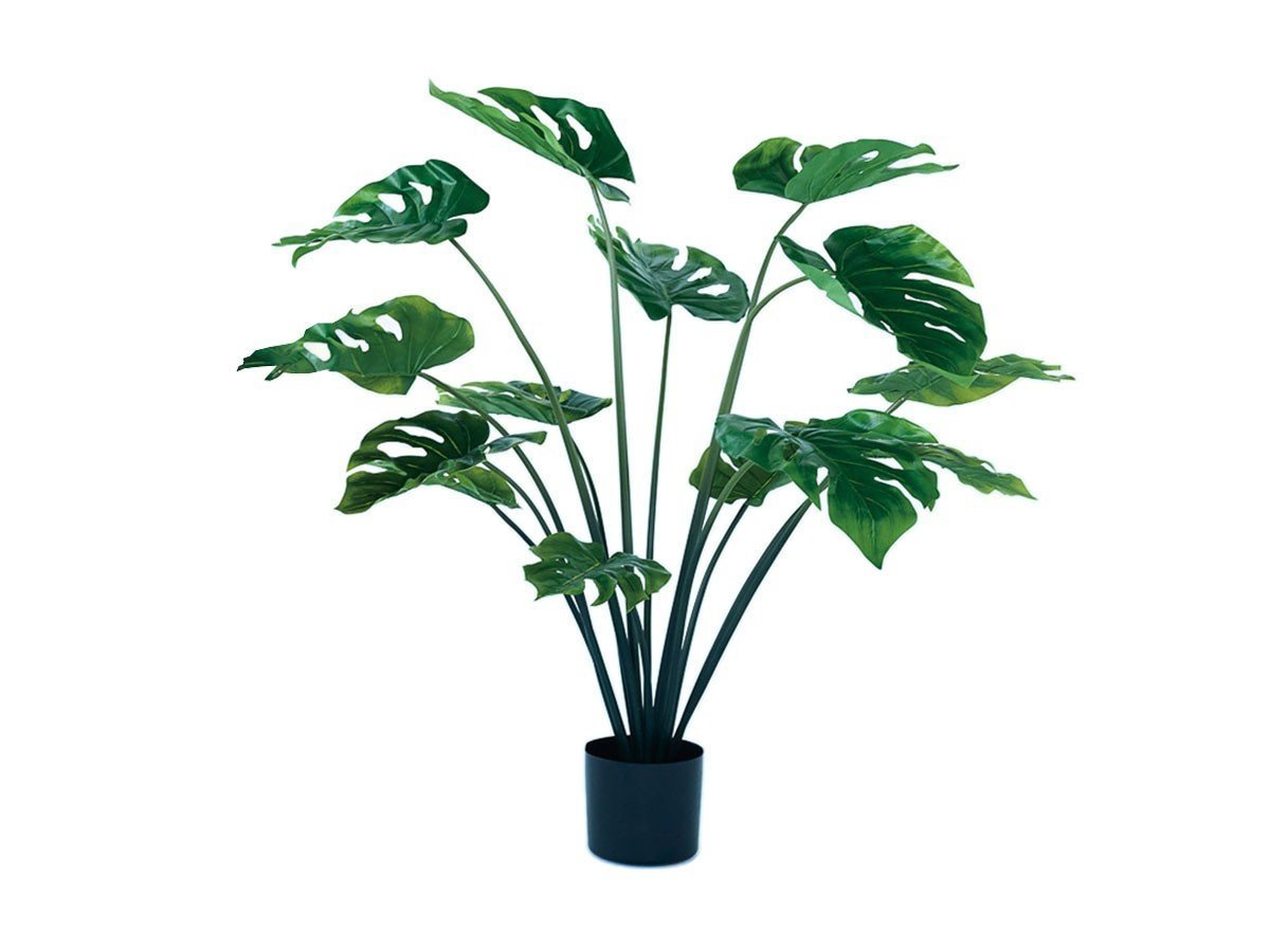 【ブラウン/BROWN / GOODS】のMonstera Pot / モンステラ ポット 97 人気、トレンドファッション・服の通販 founy(ファニー) 　おすすめ　Recommended / Our Picks　ホーム・キャンプ・アウトドア・お取り寄せ　Home Living / Home & Lifestyle / Camping Gear / Outdoor Camping　家具・インテリア　Home Furniture & Interior. Stylish & Functional Living Spaces　その他 インテリア雑貨、家具　Home Decor & Furniture Extras　 other-1|ID: prp329100004948101 ipo3291000000037132061