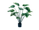 【ブラウン/BROWN / GOODS】のMonstera Pot / モンステラ ポット 97 -|ID: prp329100004948101 ipo3291000000037132062