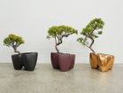 【ココン ボンサイ/KOKON BONSAI / GOODS】の大地 - DAICHI / 大地(メッキ塗装)+ 盆栽 黄金真柏 左:同シリーズの「雨晒し」、中央:同シリーズの「赤土」、右:金|ID: prp329100004948112 ipo3291000000037132096