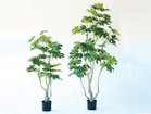 【ブラウン/BROWN / GOODS】のJapanese Aralia Pot / ヤツデ ポット 190 サイズ展開がありますので、鉢や設置場所、空間に合わせてお選びいただけます。左:高さ1|ID: prp329100004948117 ipo3291000000037132121