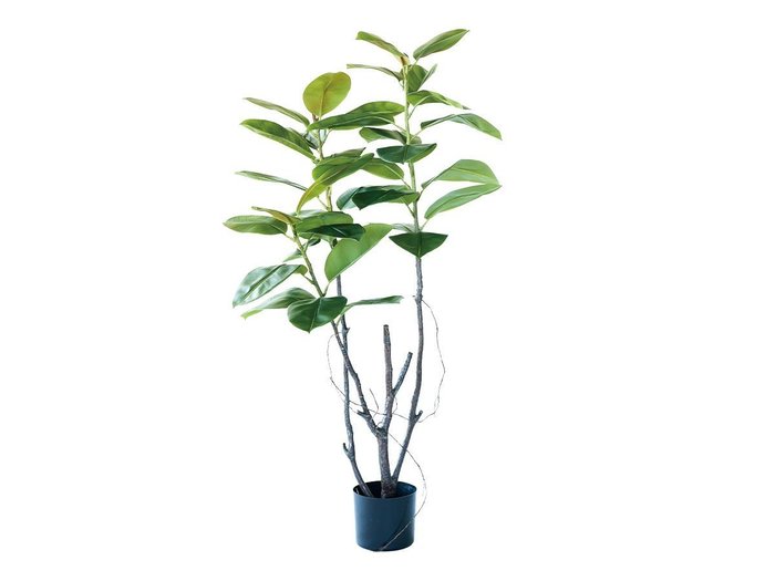 【ブラウン/BROWN / GOODS】のFicus Sophia Pot / フィカス ソフィア ポット 140 インテリア・キッズ・メンズ・レディースファッション・服の通販 founy(ファニー) https://founy.com/ 送料無料 Free Shipping おすすめ Recommended / Our Picks ホーム・キャンプ・アウトドア・お取り寄せ Home Living / Home & Lifestyle / Camping Gear / Outdoor Camping 家具・インテリア Home Furniture & Interior. Stylish & Functional Living Spaces その他 インテリア雑貨、家具 Home Decor & Furniture Extras |ID: prp329100004948122 ipo3291000000037132139