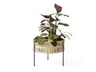【オード コペンハーゲン/Audo Copenhagen / GOODS】のUmanoff Planter / ウマノフ プランター 高さ32.5cm -|ID: prp329100004948156 ipo3291000000037132299