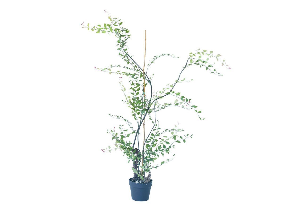 【ブラウン/BROWN / GOODS】のRiberry Pot / ライベリー ポット 125 人気、トレンドファッション・服の通販 founy(ファニー) 　送料無料　Free Shipping　おすすめ　Recommended / Our Picks　ホーム・キャンプ・アウトドア・お取り寄せ　Home Living / Home & Lifestyle / Camping Gear / Outdoor Camping　家具・インテリア　Home Furniture & Interior. Stylish & Functional Living Spaces　その他 インテリア雑貨、家具　Home Decor & Furniture Extras　 other-1|ID: prp329100004948171 ipo3291000000037132364