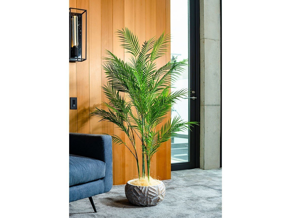 【エミリオロバ/EMILIO ROBBA】のPALM / パーム インテリア・キッズ・メンズ・レディースファッション・服の通販 founy(ファニー) 　送料無料　Free Shipping　コレクション　Collection, Seasonal Line　リアル　Real, Realistic　ホーム・キャンプ・アウトドア・お取り寄せ　Home Living / Home & Lifestyle / Camping Gear / Outdoor Camping　家具・インテリア　Home Furniture & Interior. Stylish & Functional Living Spaces　その他 インテリア雑貨、家具　Home Decor & Furniture Extras　根元部分の目隠しとしてココアファイバーが付属します。イメージとは若干色味が異なります。|ID: prp329100004948173 ipo3291000000037132373