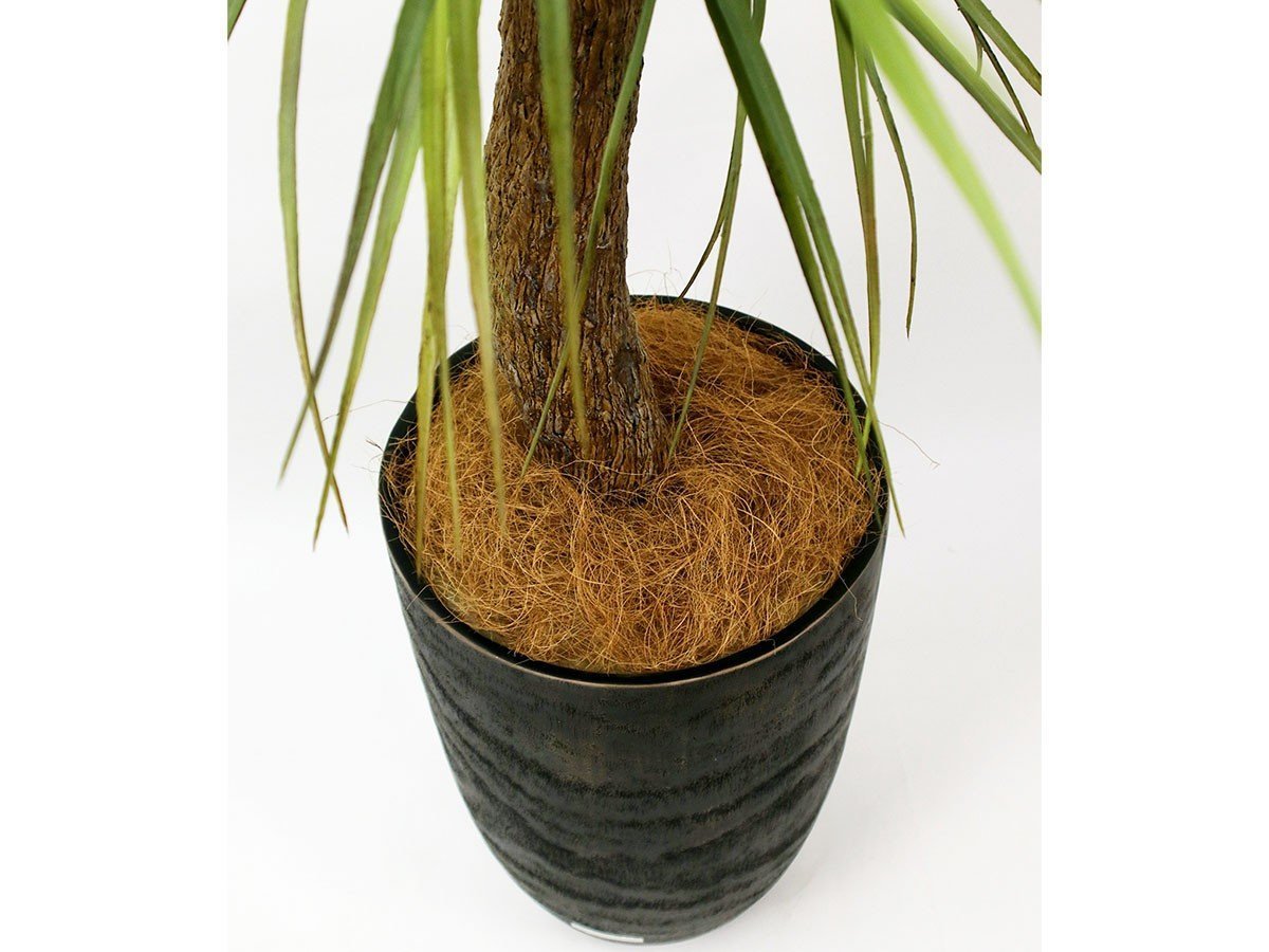 【エミリオロバ/EMILIO ROBBA】のPALM / パーム インテリア・キッズ・メンズ・レディースファッション・服の通販 founy(ファニー) 　送料無料　Free Shipping　コレクション　Collection, Seasonal Line　リアル　Real, Realistic　ホーム・キャンプ・アウトドア・お取り寄せ　Home Living / Home & Lifestyle / Camping Gear / Outdoor Camping　家具・インテリア　Home Furniture & Interior. Stylish & Functional Living Spaces　その他 インテリア雑貨、家具　Home Decor & Furniture Extras　ココファイバー参考イメージ|ID: prp329100004948173 ipo3291000000037132374