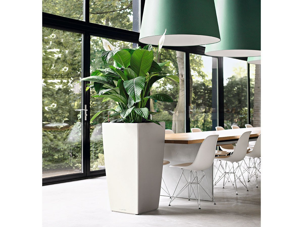 【レチューザ/Lechuza / GOODS】のCubico50 / キュービコ50 底面灌水セット付 人気、トレンドファッション・服の通販 founy(ファニー) 　シンプル　Simple, Minimal　モダン　Modern, Contemporary　ライナー　Liner, Inner Layer　送料無料　Free Shipping　おすすめ　Recommended / Our Picks　ホーム・キャンプ・アウトドア・お取り寄せ　Home Living / Home & Lifestyle / Camping Gear / Outdoor Camping　家具・インテリア　Home Furniture & Interior. Stylish & Functional Living Spaces　その他 インテリア雑貨、家具　Home Decor & Furniture Extras　 other-1|ID: prp329100004948187 ipo3291000000037132428