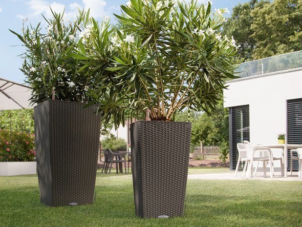 【レチューザ/Lechuza / GOODS】のCottage 30 / コテージ 30 底面灌水セット付 インテリア・キッズ・メンズ・レディースファッション・服の通販 founy(ファニー) 　スリム　Slim, Slim Fit　ライナー　Liner, Inner Layer　送料無料　Free Shipping　おすすめ　Recommended / Our Picks　ホーム・キャンプ・アウトドア・お取り寄せ　Home Living / Home & Lifestyle / Camping Gear / Outdoor Camping　家具・インテリア　Home Furniture & Interior. Stylish & Functional Living Spaces　その他 インテリア雑貨、家具　Home Decor & Furniture Extras　左:サイズ違いの「レチューザ40(高さ75cm)」、右:本商品|ID: prp329100004948188 ipo3291000000037132443