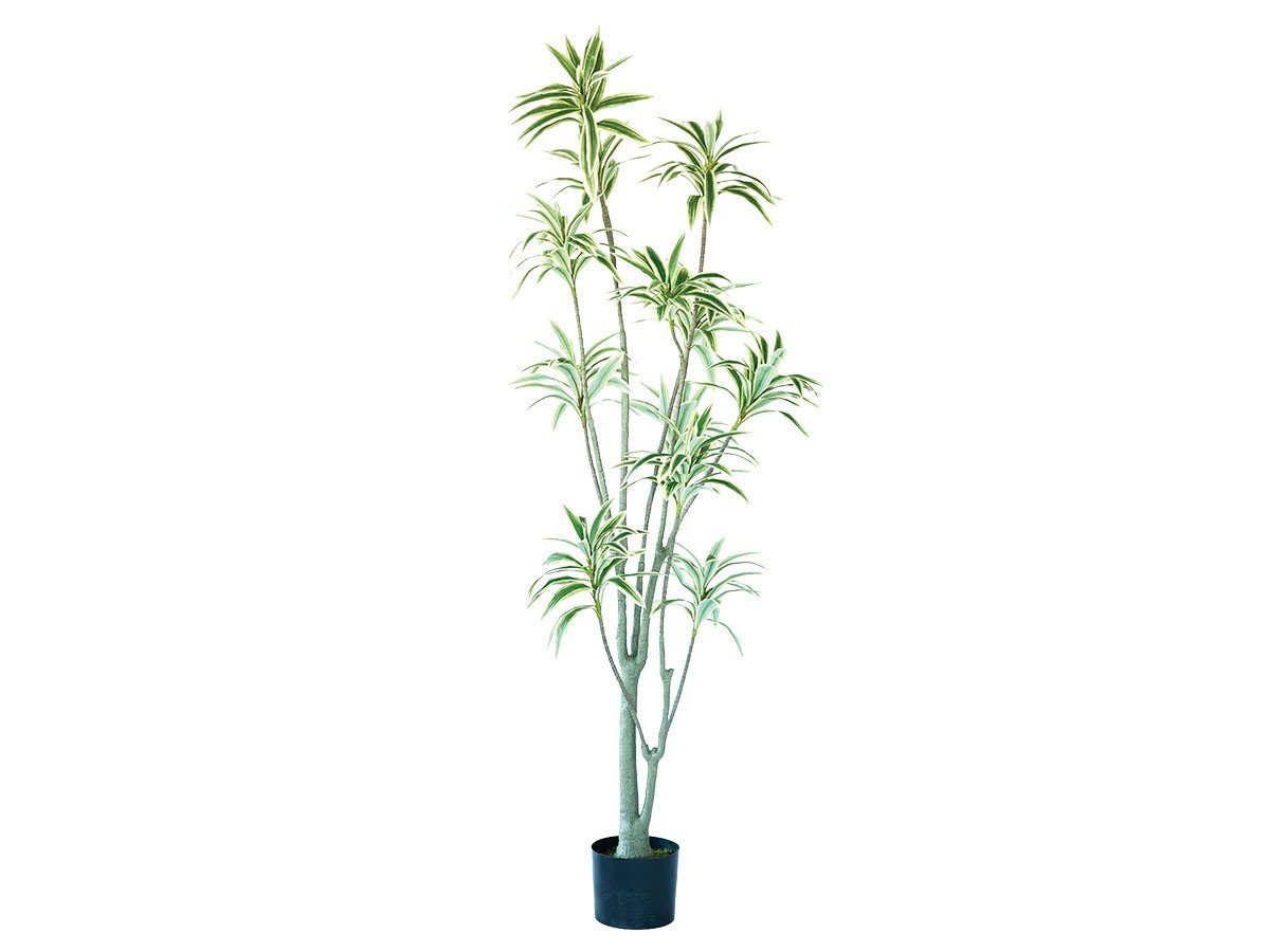 【ブラウン/BROWN / GOODS】のSong of Jamaica Pot / ソングオブジャマイカ ポット 180 インテリア・キッズ・メンズ・レディースファッション・服の通販 founy(ファニー) 　送料無料　Free Shipping　おすすめ　Recommended / Our Picks　ホーム・キャンプ・アウトドア・お取り寄せ　Home Living / Home & Lifestyle / Camping Gear / Outdoor Camping　家具・インテリア　Home Furniture & Interior. Stylish & Functional Living Spaces　その他 インテリア雑貨、家具　Home Decor & Furniture Extras　-|ID: prp329100004948190 ipo3291000000037132457