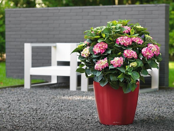 【レチューザ/Lechuza / GOODS】のClassico JOKER 35 / クラシコ・ジョーカー35 底面灌水セット付 インテリア・キッズ・メンズ・レディースファッション・服の通販 founy(ファニー) 　シンプル　Simple, Minimal　ライナー　Liner, Inner Layer　送料無料　Free Shipping　おすすめ　Recommended / Our Picks　ホーム・キャンプ・アウトドア・お取り寄せ　Home Living / Home & Lifestyle / Camping Gear / Outdoor Camping　家具・インテリア　Home Furniture & Interior. Stylish & Functional Living Spaces　その他 インテリア雑貨、家具　Home Decor & Furniture Extras　|ID: prp329100004948207 ipo3291000000037132543