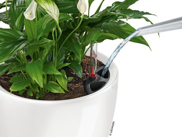 【レチューザ/Lechuza / GOODS】のClassico JOKER 35 / クラシコ・ジョーカー35 底面灌水セット付 インテリア・キッズ・メンズ・レディースファッション・服の通販 founy(ファニー) 　シンプル　Simple, Minimal　ライナー　Liner, Inner Layer　送料無料　Free Shipping　おすすめ　Recommended / Our Picks　ホーム・キャンプ・アウトドア・お取り寄せ　Home Living / Home & Lifestyle / Camping Gear / Outdoor Camping　家具・インテリア　Home Furniture & Interior. Stylish & Functional Living Spaces　その他 インテリア雑貨、家具　Home Decor & Furniture Extras　|ID: prp329100004948207 ipo3291000000037132545