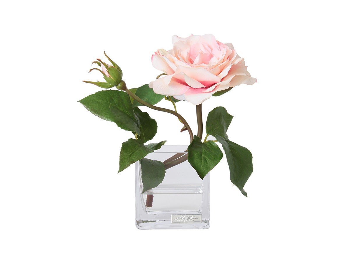 【エミリオロバ/EMILIO ROBBA】のPRIMA ROSE / プリマローズ SS インテリア・キッズ・メンズ・レディースファッション・服の通販 founy(ファニー) 　イエロー　Yellow　ガーデン　Garden, Gardening　グラデーション　Gradient, Ombre　コレクション　Collection, Seasonal Line　シリコン　Silicone, Silicone Material　リアル　Real, Realistic　ローズ　Rose, Rose Motif　エレガント 上品　Elegant　ホーム・キャンプ・アウトドア・お取り寄せ　Home Living / Home & Lifestyle / Camping Gear / Outdoor Camping　家具・インテリア　Home Furniture & Interior. Stylish & Functional Living Spaces　その他 インテリア雑貨、家具　Home Decor & Furniture Extras　ピンク|ID: prp329100004948223 ipo3291000000037132600