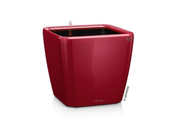 【レチューザ/Lechuza / GOODS】のQuadro JOKER 21 / クアドロ・ジョーカー21 底面灌水セット付 インテリア・キッズ・メンズ・レディースファッション・服の通販 founy(ファニー) 　シンプル　Simple, Minimal　スクエア　Square, Square Shape　ライナー　Liner, Inner Layer　送料無料　Free Shipping　おすすめ　Recommended / Our Picks　ホーム・キャンプ・アウトドア・お取り寄せ　Home Living / Home & Lifestyle / Camping Gear / Outdoor Camping　家具・インテリア　Home Furniture & Interior. Stylish & Functional Living Spaces　その他 インテリア雑貨、家具　Home Decor & Furniture Extras　スカーレット(クリアカラー)|ID: prp329100004948229 ipo3291000000037132621