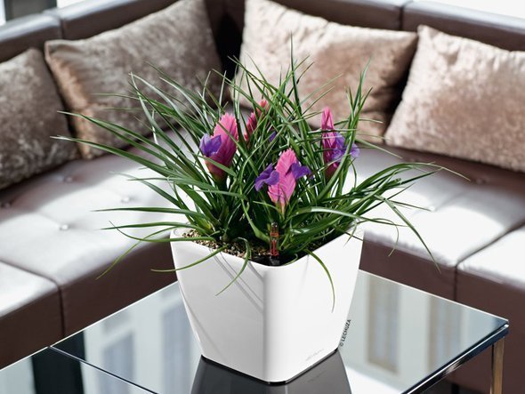 【レチューザ/Lechuza / GOODS】のQuadro JOKER 21 / クアドロ・ジョーカー21 底面灌水セット付 インテリア・キッズ・メンズ・レディースファッション・服の通販 founy(ファニー) 　シンプル　Simple, Minimal　スクエア　Square, Square Shape　ライナー　Liner, Inner Layer　送料無料　Free Shipping　おすすめ　Recommended / Our Picks　ホーム・キャンプ・アウトドア・お取り寄せ　Home Living / Home & Lifestyle / Camping Gear / Outdoor Camping　家具・インテリア　Home Furniture & Interior. Stylish & Functional Living Spaces　その他 インテリア雑貨、家具　Home Decor & Furniture Extras　ホワイト(クリアカラー)|ID: prp329100004948229 ipo3291000000037132626