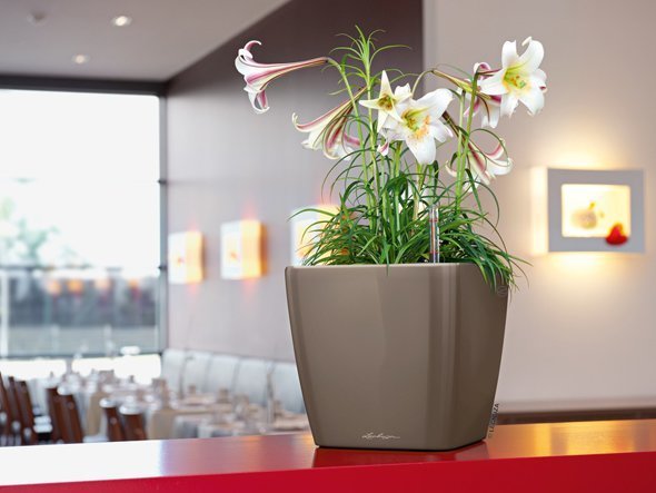 【レチューザ/Lechuza / GOODS】のQuadro JOKER 21 / クアドロ・ジョーカー21 底面灌水セット付 インテリア・キッズ・メンズ・レディースファッション・服の通販 founy(ファニー) 　シンプル　Simple, Minimal　スクエア　Square, Square Shape　ライナー　Liner, Inner Layer　送料無料　Free Shipping　おすすめ　Recommended / Our Picks　ホーム・キャンプ・アウトドア・お取り寄せ　Home Living / Home & Lifestyle / Camping Gear / Outdoor Camping　家具・インテリア　Home Furniture & Interior. Stylish & Functional Living Spaces　その他 インテリア雑貨、家具　Home Decor & Furniture Extras　グレーベージュ(クリアカラー)|ID: prp329100004948229 ipo3291000000037132627