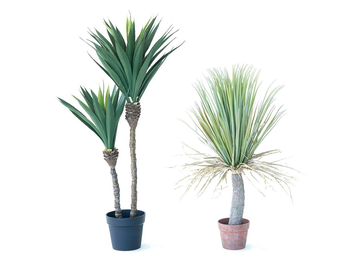 【ブラウン/BROWN / GOODS】のYucca Pot / ユッカ ポット 85 インテリア・キッズ・メンズ・レディースファッション・服の通販 founy(ファニー) 　送料無料　Free Shipping　おすすめ　Recommended / Our Picks　ホーム・キャンプ・アウトドア・お取り寄せ　Home Living / Home & Lifestyle / Camping Gear / Outdoor Camping　家具・インテリア　Home Furniture & Interior. Stylish & Functional Living Spaces　その他 インテリア雑貨、家具　Home Decor & Furniture Extras　左:ユッカ ポット 115、右:本商品|ID: prp329100004948237 ipo3291000000037132672