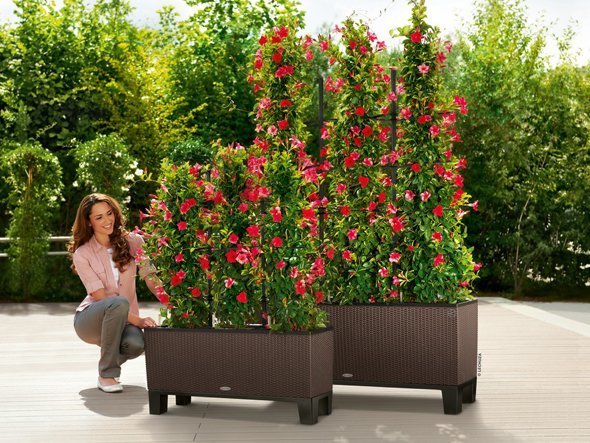 【レチューザ/Lechuza / GOODS】のCottage Trio 40 / コテージ トリオ 40 底面灌水セット付 インテリア・キッズ・メンズ・レディースファッション・服の通販 founy(ファニー) 　スタンド　Stand Collar, Upright Stand　ライナー　Liner, Inner Layer　送料無料　Free Shipping　おすすめ　Recommended / Our Picks　ホーム・キャンプ・アウトドア・お取り寄せ　Home Living / Home & Lifestyle / Camping Gear / Outdoor Camping　家具・インテリア　Home Furniture & Interior. Stylish & Functional Living Spaces　その他 インテリア雑貨、家具　Home Decor & Furniture Extras　オプションで「支柱」と「スタンド」を付けることができます。|ID: prp329100004948247 ipo3291000000037132720