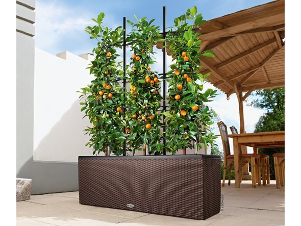 【レチューザ/Lechuza / GOODS】のCottage Trio 40 / コテージ トリオ 40 底面灌水セット付 インテリア・キッズ・メンズ・レディースファッション・服の通販 founy(ファニー) 　スタンド　Stand Collar, Upright Stand　ライナー　Liner, Inner Layer　送料無料　Free Shipping　おすすめ　Recommended / Our Picks　ホーム・キャンプ・アウトドア・お取り寄せ　Home Living / Home & Lifestyle / Camping Gear / Outdoor Camping　家具・インテリア　Home Furniture & Interior. Stylish & Functional Living Spaces　その他 インテリア雑貨、家具　Home Decor & Furniture Extras　|ID: prp329100004948247 ipo3291000000037132721