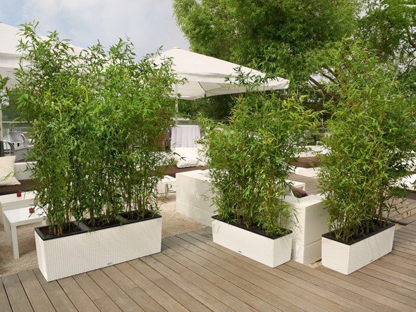 【レチューザ/Lechuza / GOODS】のCottage Trio 40 / コテージ トリオ 40 底面灌水セット付 インテリア・キッズ・メンズ・レディースファッション・服の通販 founy(ファニー) 　スタンド　Stand Collar, Upright Stand　ライナー　Liner, Inner Layer　送料無料　Free Shipping　おすすめ　Recommended / Our Picks　ホーム・キャンプ・アウトドア・お取り寄せ　Home Living / Home & Lifestyle / Camping Gear / Outdoor Camping　家具・インテリア　Home Furniture & Interior. Stylish & Functional Living Spaces　その他 インテリア雑貨、家具　Home Decor & Furniture Extras　左:本商品、中・右:サイズ違いの「コテージトリオ30(幅100cm)」|ID: prp329100004948247 ipo3291000000037132722