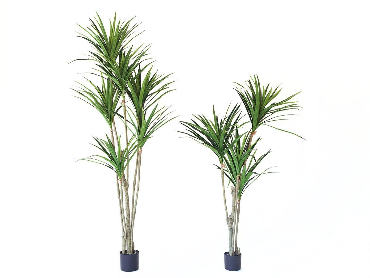 【ブラウン/BROWN / GOODS】のYucca Pot / ユッカ ポット 210 インテリア・キッズ・メンズ・レディースファッション・服の通販 founy(ファニー) 　送料無料　Free Shipping　おすすめ　Recommended / Our Picks　ホーム・キャンプ・アウトドア・お取り寄せ　Home Living / Home & Lifestyle / Camping Gear / Outdoor Camping　家具・インテリア　Home Furniture & Interior. Stylish & Functional Living Spaces　その他 インテリア雑貨、家具　Home Decor & Furniture Extras　サイズ展開がありますので、鉢や設置場所、空間に合わせてお選びいただけます。左:本商品|ID: prp329100004948251 ipo3291000000037132753