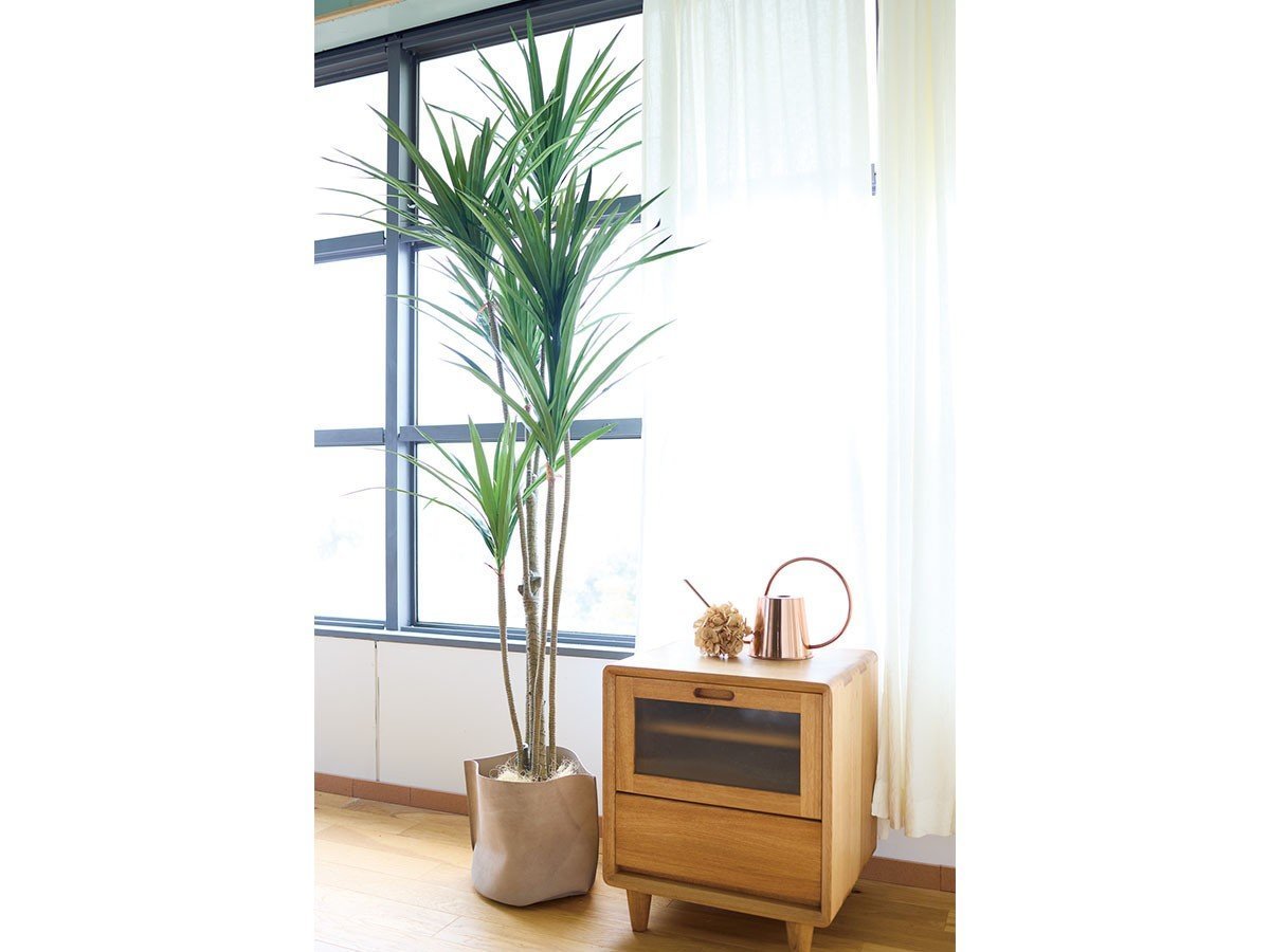 【ブラウン/BROWN / GOODS】のYucca Pot / ユッカ ポット 160 インテリア・キッズ・メンズ・レディースファッション・服の通販 founy(ファニー) 　送料無料　Free Shipping　おすすめ　Recommended / Our Picks　ホーム・キャンプ・アウトドア・お取り寄せ　Home Living / Home & Lifestyle / Camping Gear / Outdoor Camping　家具・インテリア　Home Furniture & Interior. Stylish & Functional Living Spaces　その他 インテリア雑貨、家具　Home Decor & Furniture Extras　参考イメージ|ID: prp329100004948252 ipo3291000000037132757