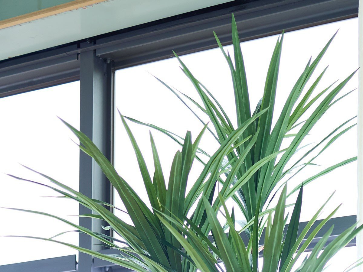 【ブラウン/BROWN / GOODS】のYucca Pot / ユッカ ポット 160 インテリア・キッズ・メンズ・レディースファッション・服の通販 founy(ファニー) 　送料無料　Free Shipping　おすすめ　Recommended / Our Picks　ホーム・キャンプ・アウトドア・お取り寄せ　Home Living / Home & Lifestyle / Camping Gear / Outdoor Camping　家具・インテリア　Home Furniture & Interior. Stylish & Functional Living Spaces　その他 インテリア雑貨、家具　Home Decor & Furniture Extras　参考イメージ|ID: prp329100004948252 ipo3291000000037132758