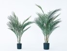 【ブラウン/BROWN / GOODS】のAreca Palm Pot / アレカヤシ ポット 70 サイズ展開がありますので、鉢や設置場所、空間に合わせてお選びいただけます。左:本商品|ID: prp329100004948254 ipo3291000000037132767