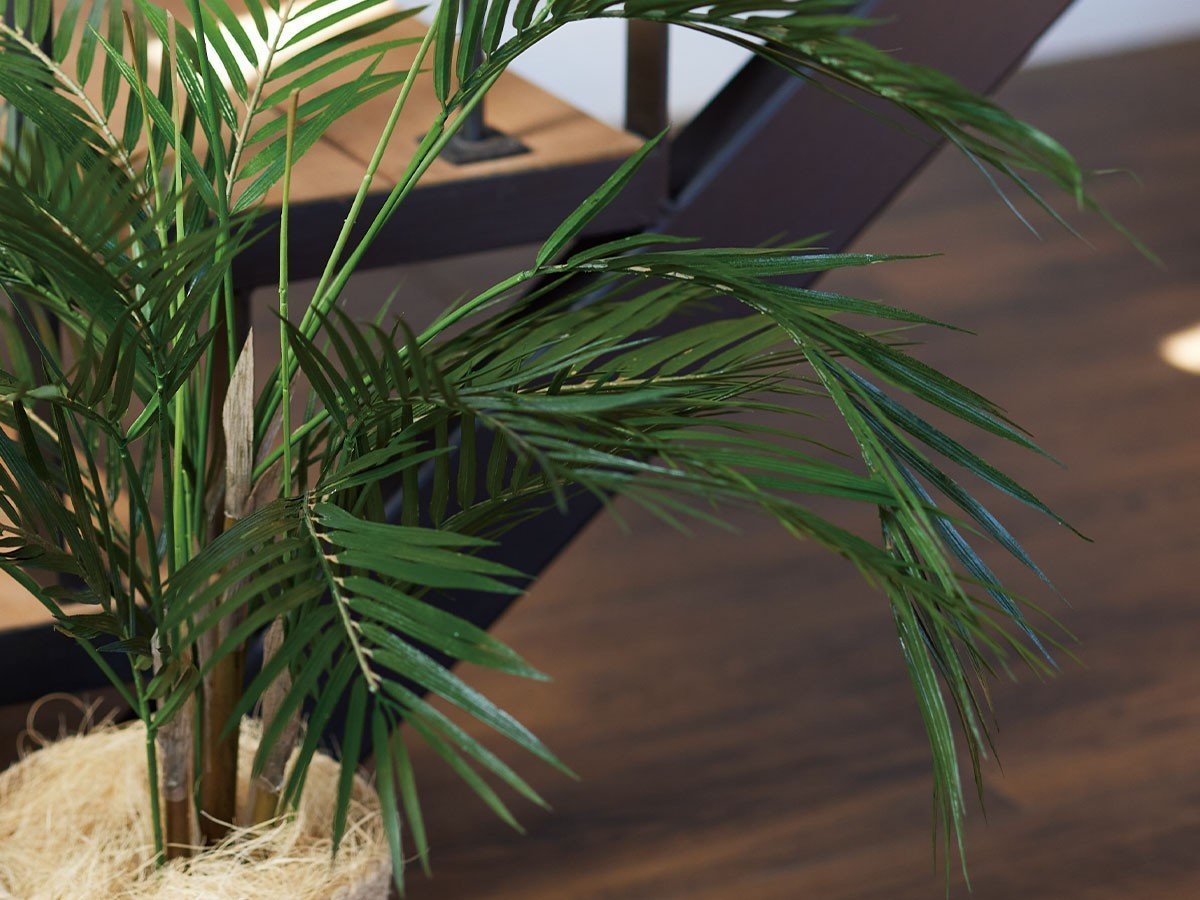 【ブラウン/BROWN / GOODS】のAreca Palm Pot / アレカヤシ ポット 70 インテリア・キッズ・メンズ・レディースファッション・服の通販 founy(ファニー) 　おすすめ　Recommended / Our Picks　ホーム・キャンプ・アウトドア・お取り寄せ　Home Living / Home & Lifestyle / Camping Gear / Outdoor Camping　家具・インテリア　Home Furniture & Interior. Stylish & Functional Living Spaces　その他 インテリア雑貨、家具　Home Decor & Furniture Extras　参考イメージ|ID: prp329100004948254 ipo3291000000037132769