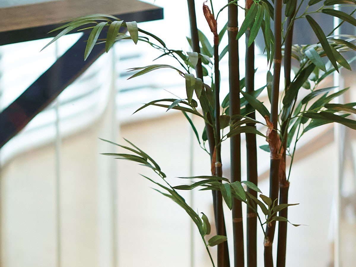 【ブラウン/BROWN / GOODS】のBamboo Pot / バンブー ポット 120 インテリア・キッズ・メンズ・レディースファッション・服の通販 founy(ファニー) 　おすすめ　Recommended / Our Picks　バンブー　Bamboo, Bamboo Material　ホーム・キャンプ・アウトドア・お取り寄せ　Home Living / Home & Lifestyle / Camping Gear / Outdoor Camping　家具・インテリア　Home Furniture & Interior. Stylish & Functional Living Spaces　その他 インテリア雑貨、家具　Home Decor & Furniture Extras　参考イメージ|ID: prp329100004948260 ipo3291000000037132791