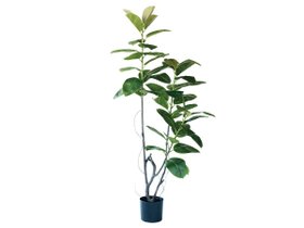 【ブラウン/BROWN / GOODS】のFicus Sophia Pot / フィカス ソフィア ポット 180 人気、トレンドファッション・服の通販 founy(ファニー) 送料無料 Free Shipping おすすめ Recommended / Our Picks ホーム・キャンプ・アウトドア・お取り寄せ Home Living / Home & Lifestyle / Camping Gear / Outdoor Camping 家具・インテリア Home Furniture & Interior. Stylish & Functional Living Spaces その他 インテリア雑貨、家具 Home Decor & Furniture Extras |ID:prp329100004948263