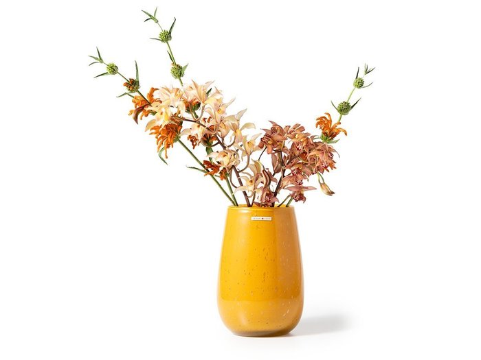 【ヘンリーディーン/Henry Dean / GOODS】のV.Stromboli S / V.ストロンボリ S(マスタード) インテリア・キッズ・メンズ・レディースファッション・服の通販 founy(ファニー) https://founy.com/ 送料無料 Free Shipping ガラス Glass, Glassware スタンダード Standard, Basic ハンド Hand, Handmade フォルム Silhouette, Form フラワー Flower, Floral ランダム Random, Irregular ホーム・キャンプ・アウトドア・お取り寄せ Home Living / Home & Lifestyle / Camping Gear / Outdoor Camping 家具・インテリア Home Furniture & Interior. Stylish & Functional Living Spaces その他 インテリア雑貨、家具 Home Decor & Furniture Extras |ID: prp329100004960249 ipo3291000000037216437