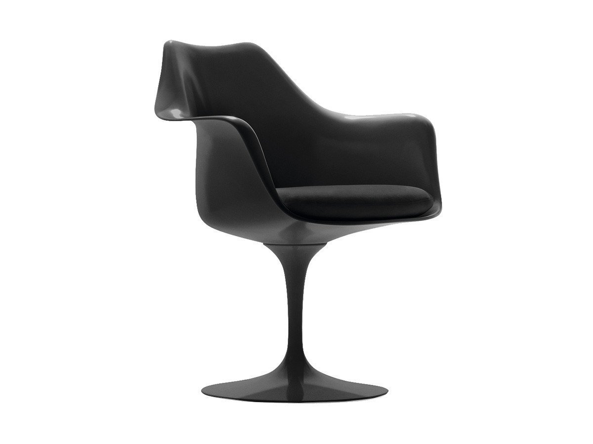 【ノル/Knoll / GOODS】のSaarinen Collection Tulip Arm Chair / サーリネン コレクション チューリップ アームチェア 大人の最旬トレンドファッション＆コーディネート founy(ファウニー) 　コレクション　Collection, Seasonal Line　チューリップ　Tube, Tube Top　テーブル　Table, Dining Table　フォルム　Silhouette, Form　送料無料　Free Shipping　ホーム・キャンプ・アウトドア・お取り寄せ　Home Living / Home & Lifestyle / Camping Gear / Outdoor Camping　家具・インテリア　Home Furniture & Interior. Stylish & Functional Living Spaces　チェア・椅子　Seating & Chairs　ダイニングチェア・木製チェア　Dining Chairs　ホーム・キャンプ・アウトドア・お取り寄せ　Home Living / Home & Lifestyle / Camping Gear / Outdoor Camping　家具・インテリア　Home Furniture & Interior. Stylish & Functional Living Spaces　チェア・椅子　Seating & Chairs　アームチェア・アクセントチェア　Armchairs & Accent Chairs　 other-1|ID: prp329100004968282 ipo3291000000037262659