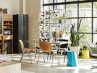 【ノットアンティークス/knot antiques / CRASH GATE】のCASTEL CHAIR / カステル チェア(ウォールナット) 大人の最旬トレンドファッション＆コーディネート founy(ファウニー) スリム Slim, Slim Fit フィット Fit, Slim Fit フォルム Silhouette, Form モダン Modern, Contemporary ホーム・キャンプ・アウトドア・お取り寄せ Home Living / Home & Lifestyle / Camping Gear / Outdoor Camping 家具・インテリア Home Furniture & Interior. Stylish & Functional Living Spaces チェア・椅子 Seating & Chairs ダイニングチェア・木製チェア Dining Chairs thumbnail 参考イメージ|ID: prp329100004968401 ipo3291000000037263023