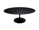 【ノル/Knoll / GOODS】のSaarinen Collection Oval Coffee Table / サーリネン コレクション オーバルコーヒーテーブル -|ID: prp329100004970924 ipo3291000000037277838