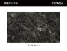 【マスターウォール/MASTERWAL / GOODS】のELDA DINING TABLE / エルダ ダイニングテーブル 大人の最旬トレンドファッション＆コーディネート founy(ファウニー) イタリア Italy エレガント 上品 Elegant シンプル Simple, Minimal テーブル Table, Dining Table フォルム Silhouette, Form モダン Modern, Contemporary ランダム Random, Irregular ホーム・キャンプ・アウトドア・お取り寄せ Home Living / Home & Lifestyle / Camping Gear / Outdoor Camping 家具・インテリア Home Furniture & Interior. Stylish & Functional Living Spaces テーブル Dining, Coffee & Side Tables ダイニングテーブル・食卓テーブル Dining Tables thumbnail 自然遺産のイタリア北東部で産出され、濃いグレーから黒に近い地色に、白いすじ模様がランダムに入ります。|ID: prp329100004972015 ipo3291000000037283562
