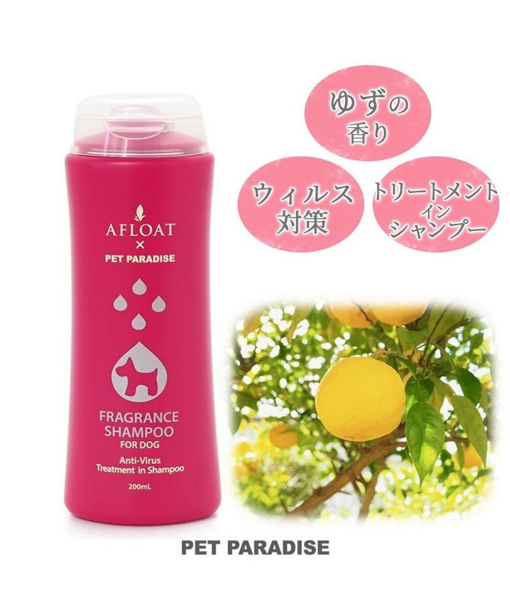 【ペットパラダイス/PET PARADISE / GOODS】のペティソワン アフロートフレグランスシャンプー 抗菌・抗ウィルス 人気、トレンドファッション・服の通販 founy(ファニー) 　コラボ　Collaboration　抗菌　Antibacterial　犬　Dog　ホーム・キャンプ・アウトドア・お取り寄せ　Home,Garden,Outdoor,Camping Gear　ペットグッズ　Pet Supplies　 other-1|ID: prp329100001247301 ipo3291000000029396346