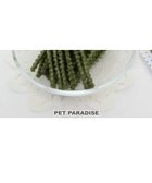 【ペットパラダイス/PET PARADISE / GOODS】のデンタルガム スピルリナ 100g 国産 -|ID: prp329100001930653 ipo3291000000029391838