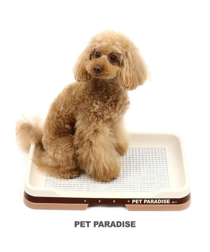 【ペットパラダイス/PET PARADISE / GOODS】のペットパラダイス 2WAY トイレトレー(室内トイレ) インテリア・キッズ・メンズ・レディースファッション・服の通販 founy(ファニー) https://founy.com/ メッシュ Mesh レギュラー Regular 犬 Dog 猫 Cat ホーム・キャンプ・アウトドア・お取り寄せ Home,Garden,Outdoor,Camping Gear ペットグッズ Pet Supplies |ID: prp329100002521182 ipo3291000000027073059