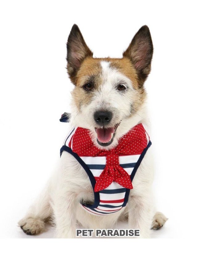 【ペットパラダイス/PET PARADISE / GOODS】の犬 ハーネス リサとガスパール ベストハーネス 【3S】 トリコロール インテリア・キッズ・メンズ・レディースファッション・服の通販 founy(ファニー) https://founy.com/ キャラクター Character パール Pearl ベスト Vest 犬 Dog ホーム・キャンプ・アウトドア・お取り寄せ Home,Garden,Outdoor,Camping Gear ペットグッズ Pet Supplies |ID: prp329100002655601 ipo3291000000029393080