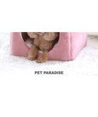 【ペットパラダイス/PET PARADISE / GOODS】のいちご ハウス 大 (45×45×46cm) いちご 大|ID: prp329100002746891 ipo3291000000026663631