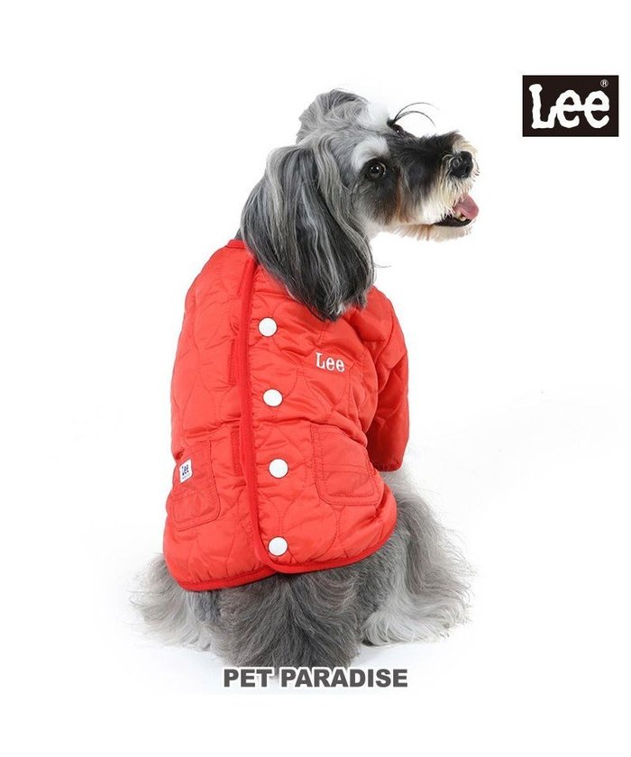 【ペットパラダイス/PET PARADISE / GOODS】の犬 服 Lee 背中開き ジャケット 【小型犬】 キルティング 綿入り オレンジ インテリア・キッズ・メンズ・レディースファッション・服の通販 founy(ファニー) https://founy.com/ A/W・秋冬 Aw・Autumn/Winter・Fw・Fall-Winter オレンジ Orange キルティング Quilting ギフト プレゼント Gift Present ジャケット Jacket ベビー Baby 犬 Dog 防寒 Cold Protection ホーム・キャンプ・アウトドア・お取り寄せ Home,Garden,Outdoor,Camping Gear ペットグッズ Pet Supplies |ID: prp329100002843940 ipo3291000000029391924