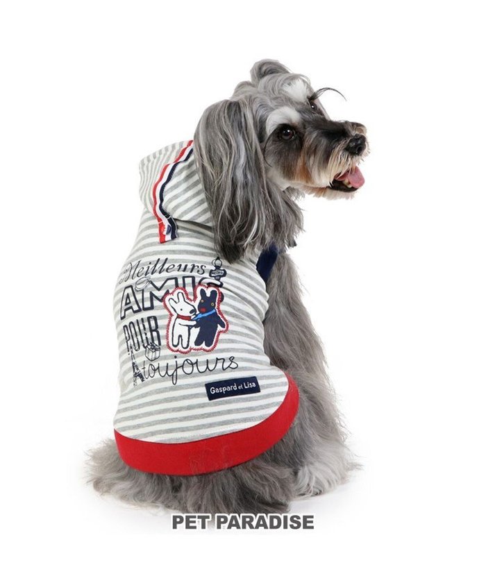 【ペットパラダイス/PET PARADISE / GOODS】のリサとガスパール パーカー 《親友 ボーダー柄》【小型犬】 インテリア・キッズ・メンズ・レディースファッション・服の通販 founy(ファニー) https://founy.com/ 洗える Washable 秋 Autumn/Fall キャラクター Character パーカー Hoodie パール Pearl ベビー Baby ボーダー Border A/W・秋冬 Aw・Autumn/Winter・Fw・Fall-Winter 犬 Dog ギフト プレゼント Gift Present ホーム・キャンプ・アウトドア・お取り寄せ Home,Garden,Outdoor,Camping Gear ペットグッズ Pet Supplies |ID: prp329100002991643 ipo3291000000029391597