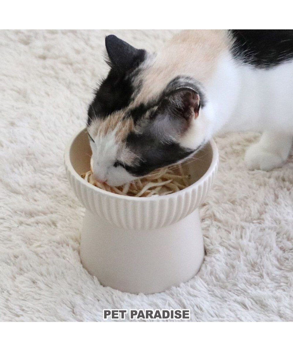 【ペットパラダイス/PET PARADISE / GOODS】の猫 フードボウル 陶器 斜め ホワイト ベージュ インテリア・キッズ・メンズ・レディースファッション・服の通販 founy(ファニー) 　皿　Dish　猫　Cat　ギフト プレゼント　Gift Present　ホーム・キャンプ・アウトドア・お取り寄せ　Home,Garden,Outdoor,Camping Gear　ペットグッズ　Pet Supplies　ベージュ|ID: prp329100002991651 ipo3291000000020297312